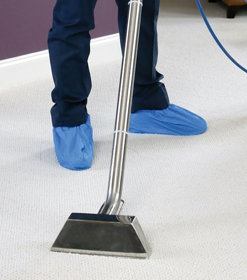 carpet cleaning nyc carpet cleaning nyc